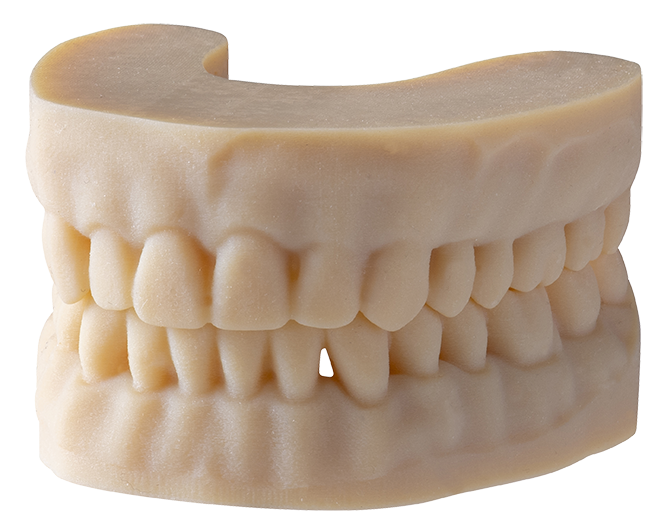 3D-gedruckte KFO-Modelle - Orthoproof